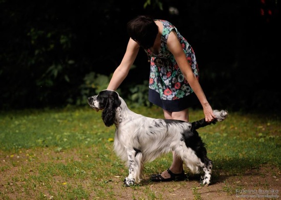 194947-c8fc2-83794119-m549x500-u91d94.jp