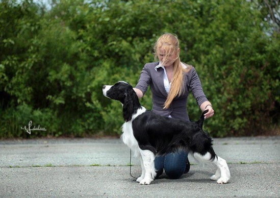 194947-f16e5-83794440-m549x500-ucd86f.jp